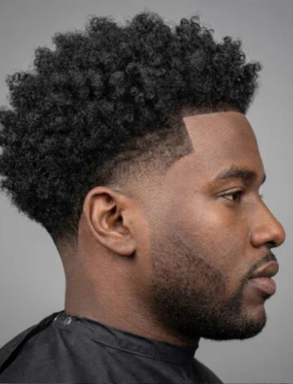 Low Taper Curly Hair Afro